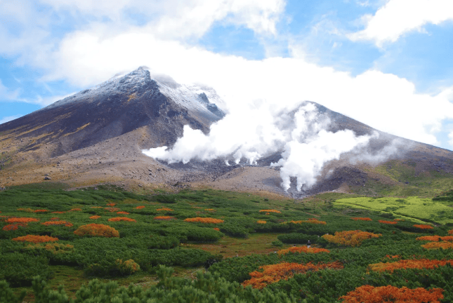 202509081503-1576948246.png image.png