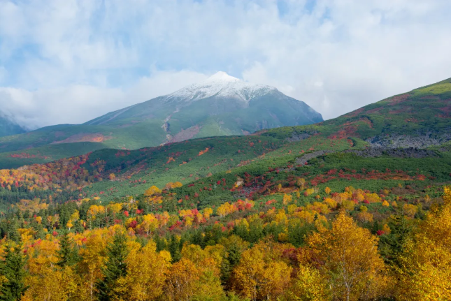 202509081503-9563098877.png image.png