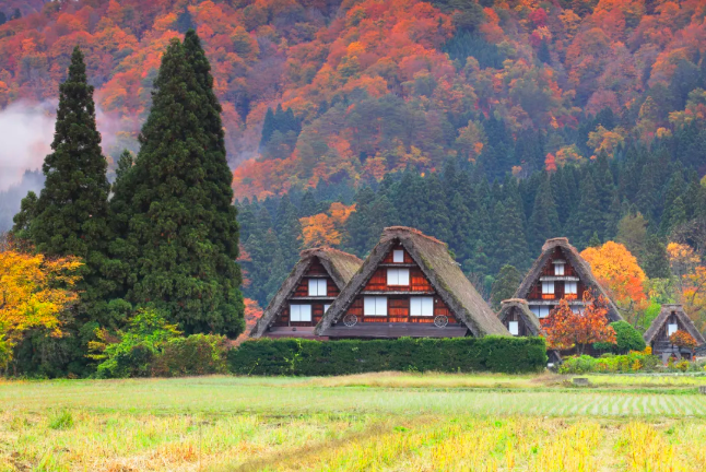 202509081504-3366846373.png image.png