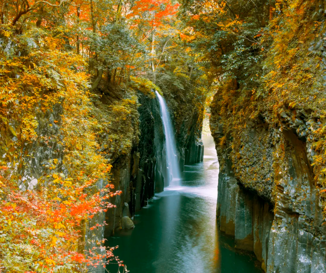 202509081506-2310549220.png image.png