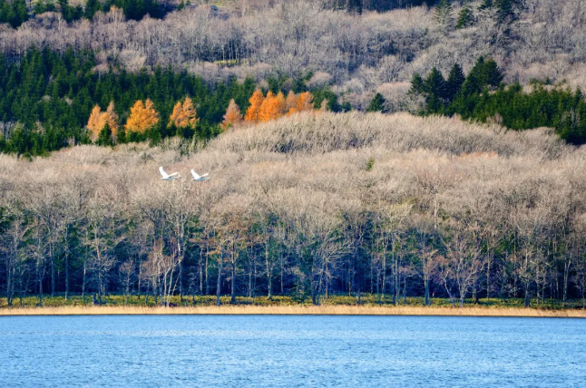 202509081509-9304738726.png image.png