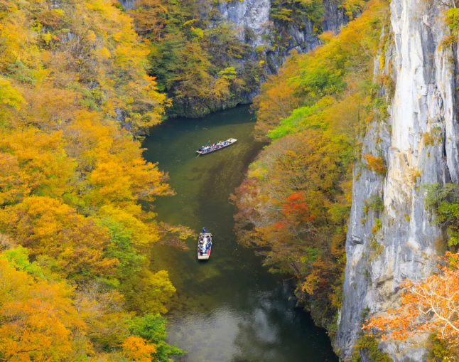 202509081510-1484477222.png image.png