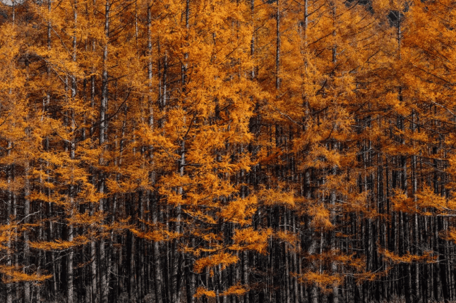 202509081510-5271835720.png image.png