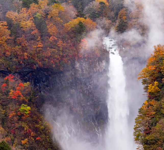 202509081511-5169960697.png image.png