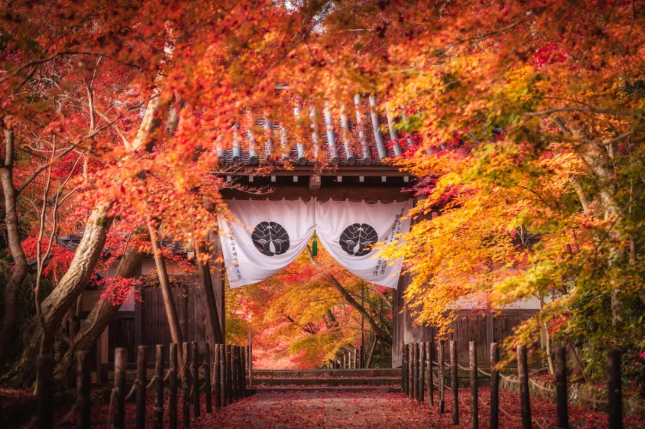 202509081511-8926508305.png image.png