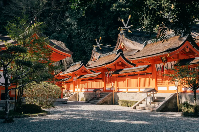 202509081512-2659192394.png image.png