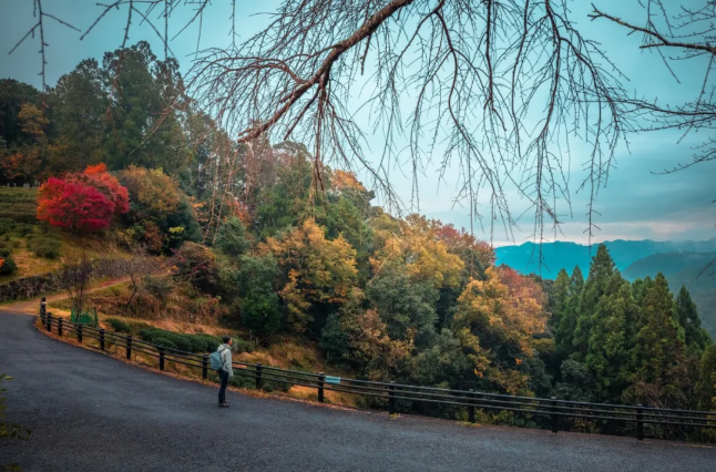 202509081512-4093285028.png image.png