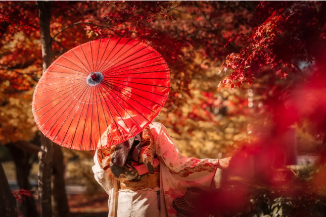 202509081512-5012515022.png image.png