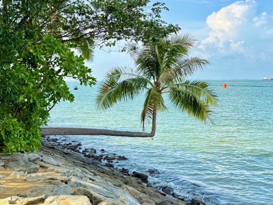圣淘沙巴拉湾海滩.jpg