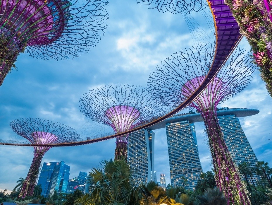 202509091126-7884086669.jpg 930-擎天树观景台.jpg