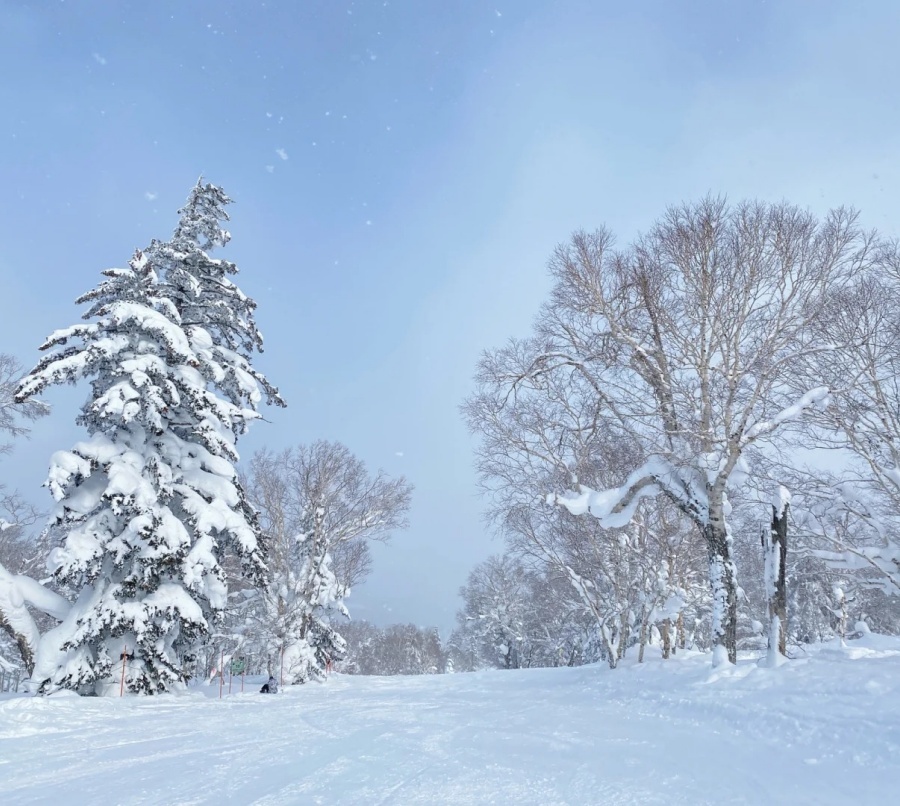 北海道滑雪⛷️札幌国际滑雪场_8_一支雪糕_来自小红书网页版.jpg