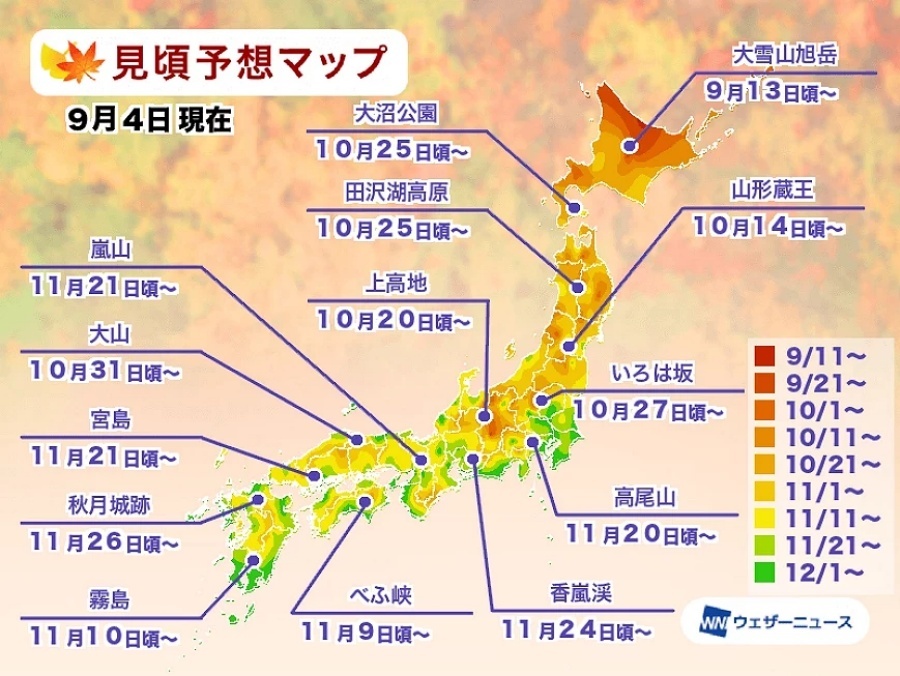 时间预测.jpg