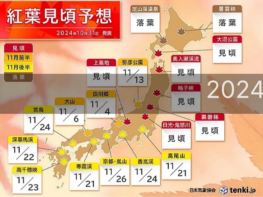 红叶2024.jpg