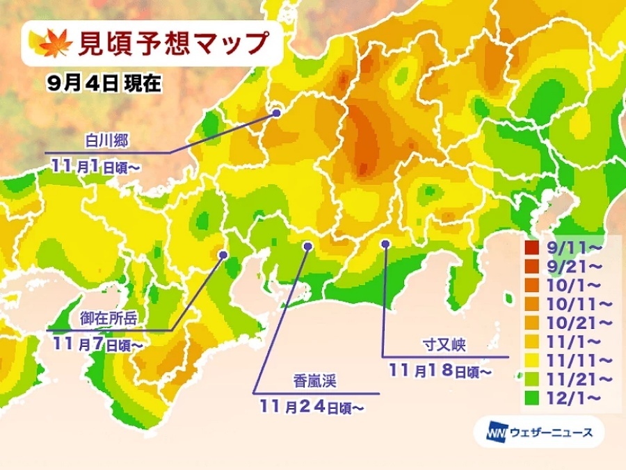中部.jpg