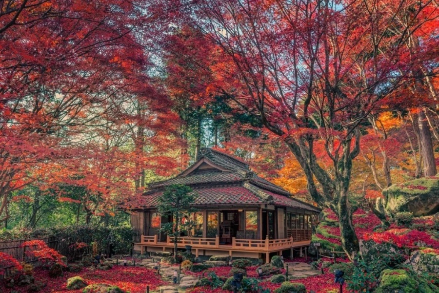 日本红叶季丨京都神秘古寺与绝美红枫一日游_1_旅行者21号_来自小红书网页版.jpg