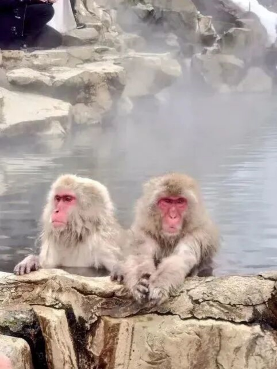 白2.jpg