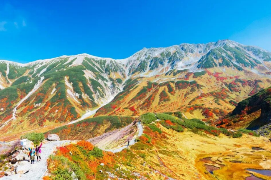 屏幕截图 2025-09-16 145215.png
