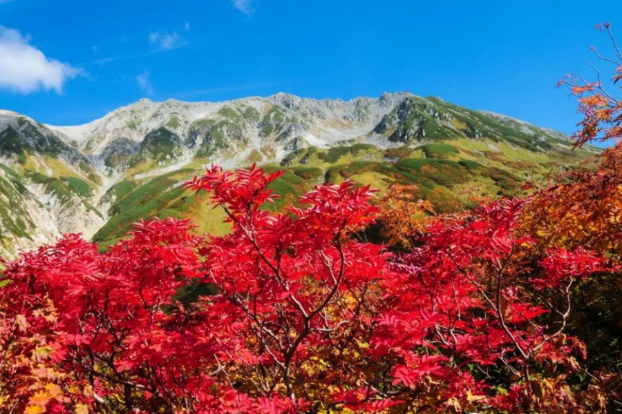 屏幕截图 2025-09-16 145133.png
