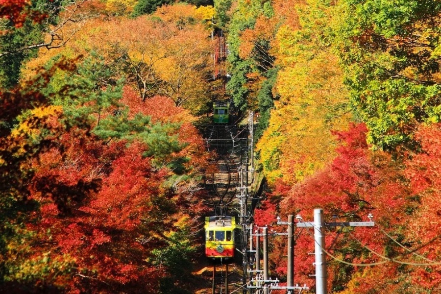 立山 (5).jpg
