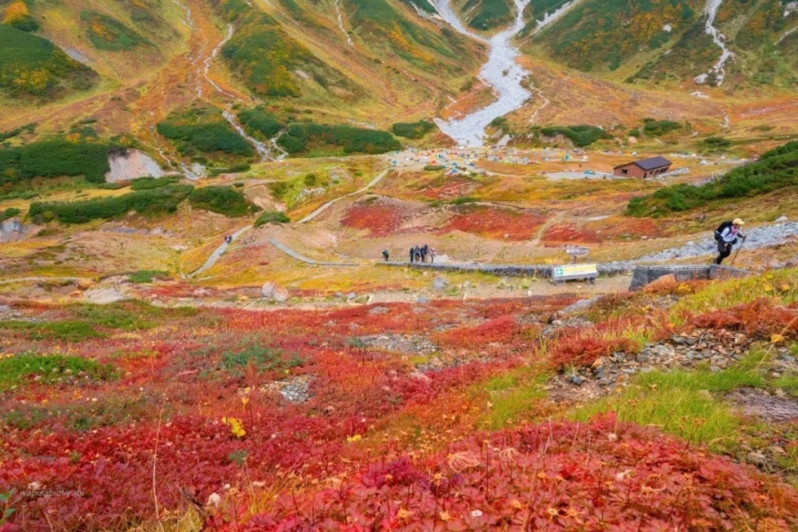 立山 (3).jpg
