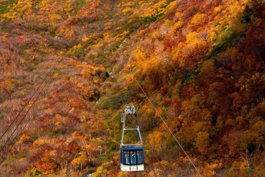 立山 (1).jpg