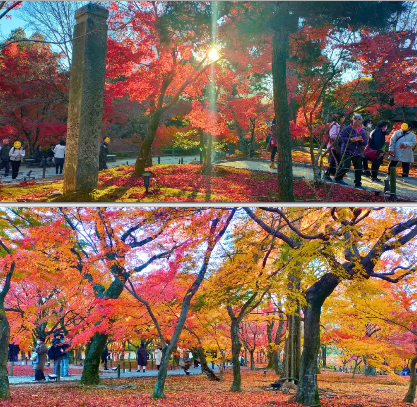 东福寺.png