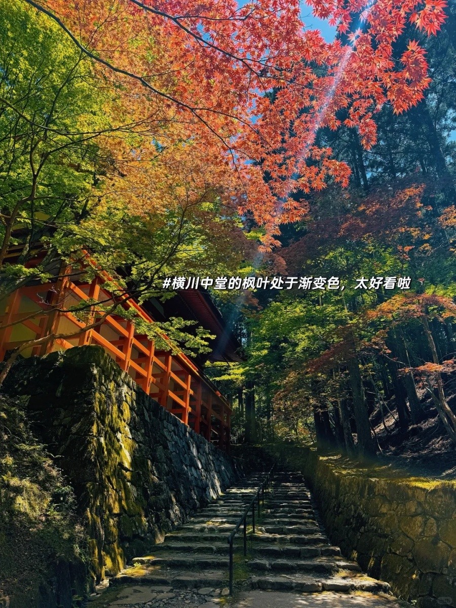 谁说京都人多，去比叡山了吗？_3_西西嘻嘻_来自小红书网页版.jpg