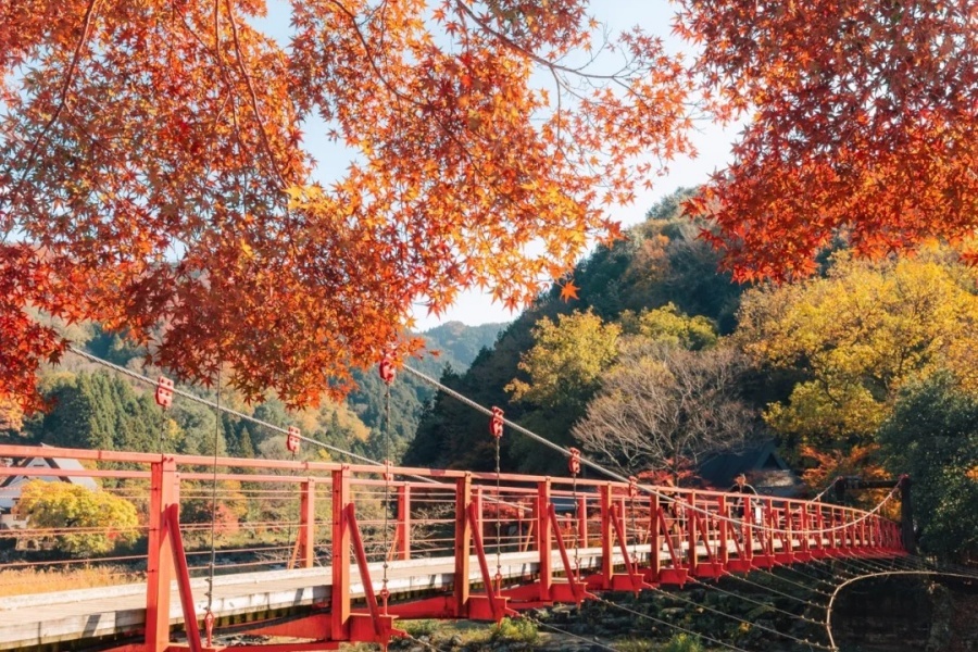 香 (7).jpg