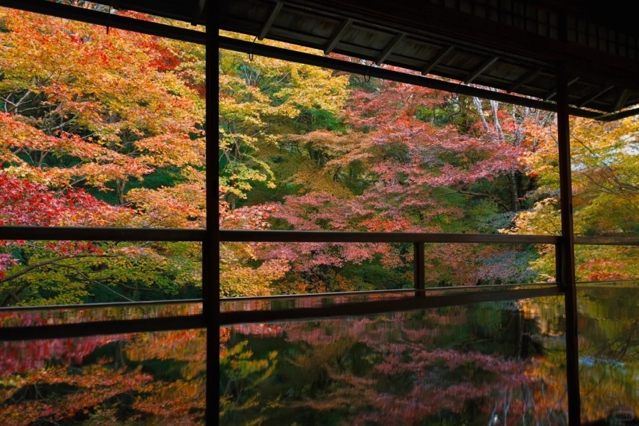 11.29叡山红叶-三千院 琉璃光院 日吉大社_9_Azuki豆豆_来自小红书网页版.jpg