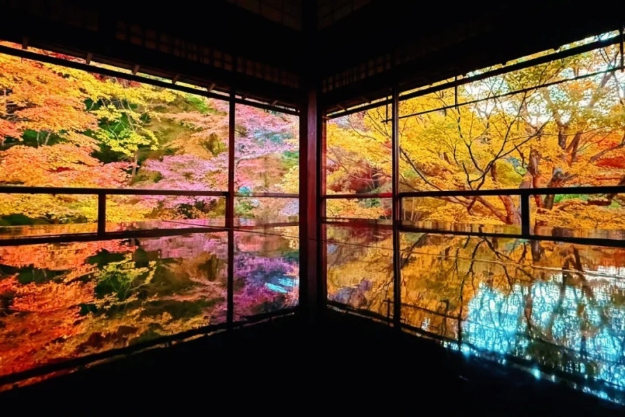 京都小众景点—琉璃光院🌿_1_旅游定制师-耶耶_来自小红书网页版.jpg