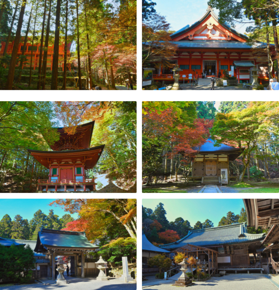 横川.png