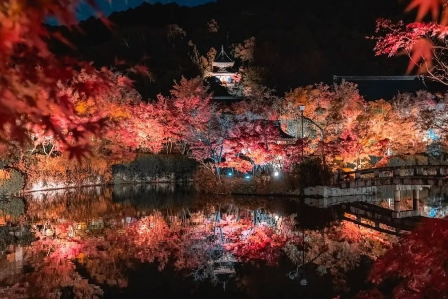 如果在京都只看一处夜枫，那我选这里！_2_Ebisu日本観光旅行_来自小红书网页版.jpg