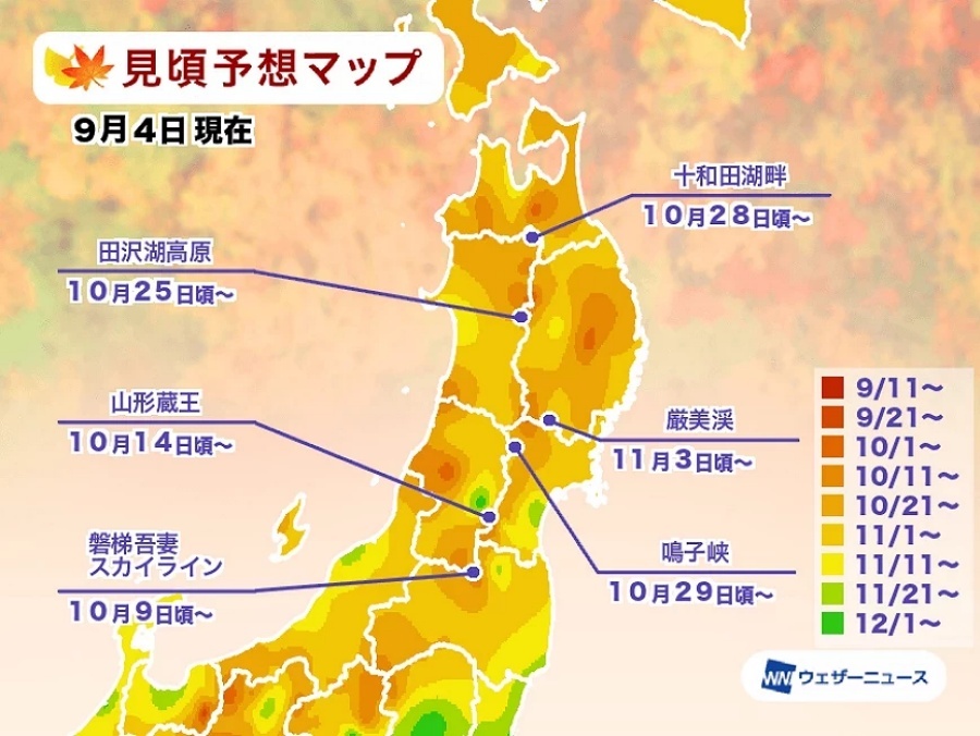东北.jpg