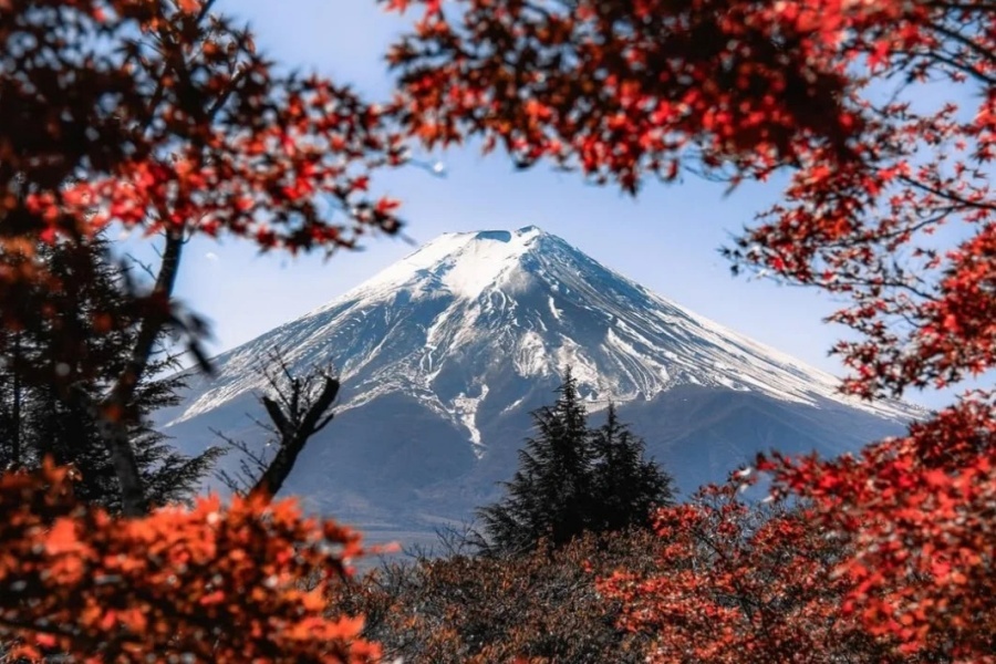 日本旅游｜被富士山治愈的瞬间🗻_5_霓虹卡哇伊内_来自小红书网页版.jpg