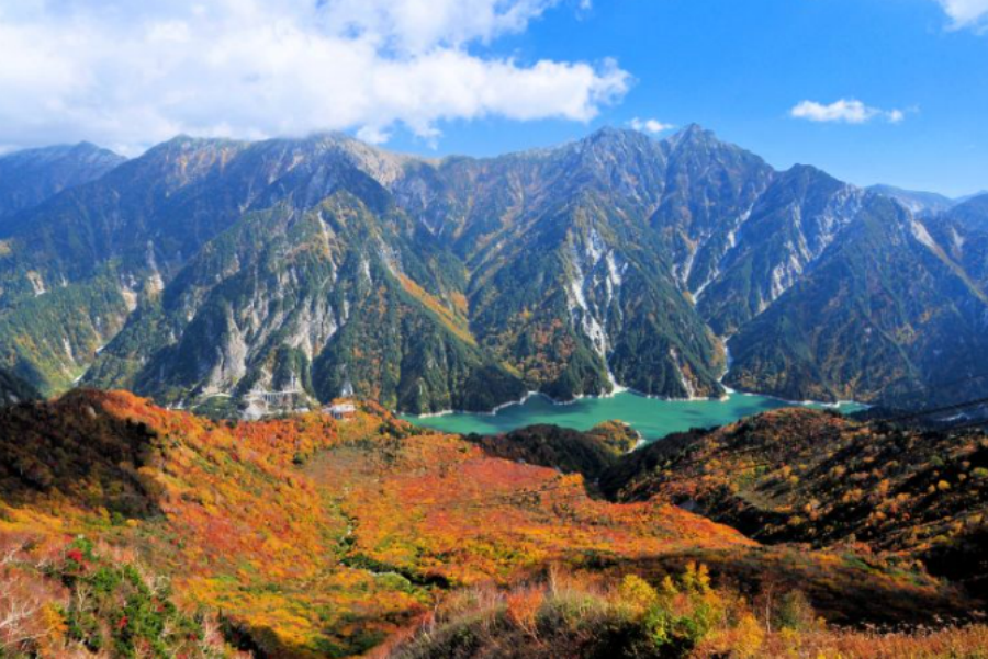 屏幕截图 2025-10-09 141527.png