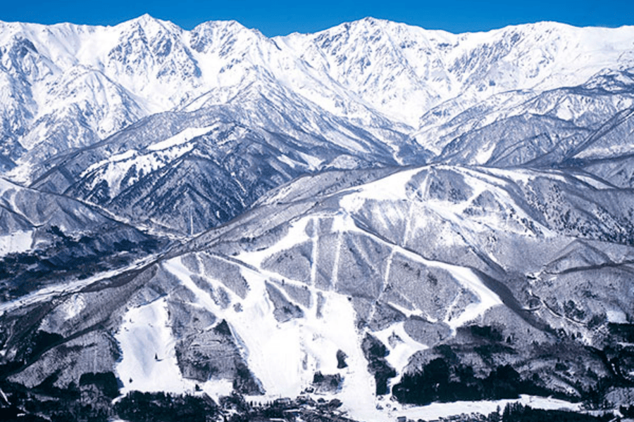 微信图片_2025-10-10_145003_980.png