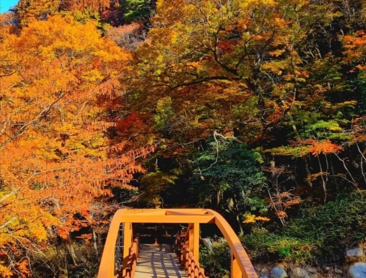 汉拿山1 (4).jpg