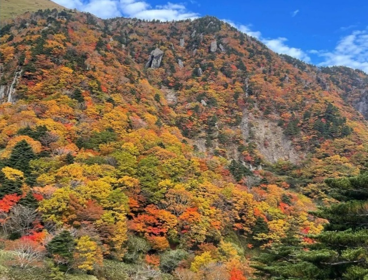 汉拿山1 (1).jpg