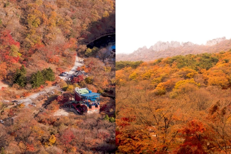 内藏山3.jpg