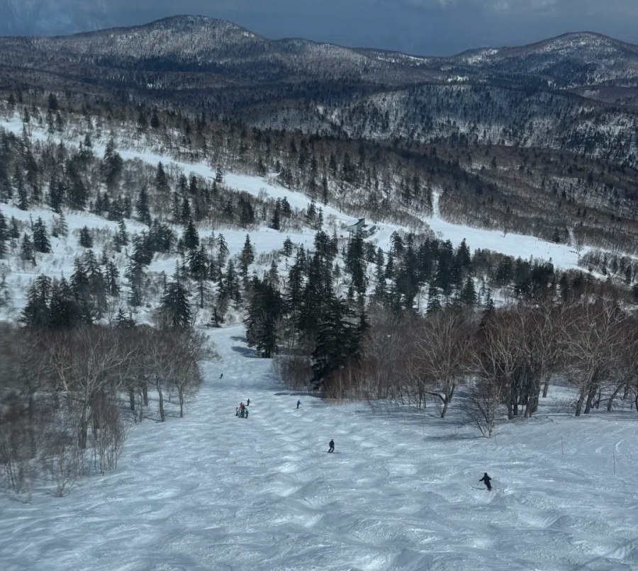 札幌国际的四月春雪 天气晴海蓝蓝_5_三花喵专属保安_来自小红书网页版.jpg