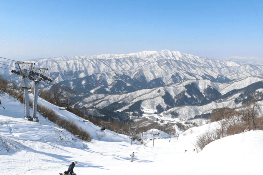 屏幕截图 2025-10-14 133605.png