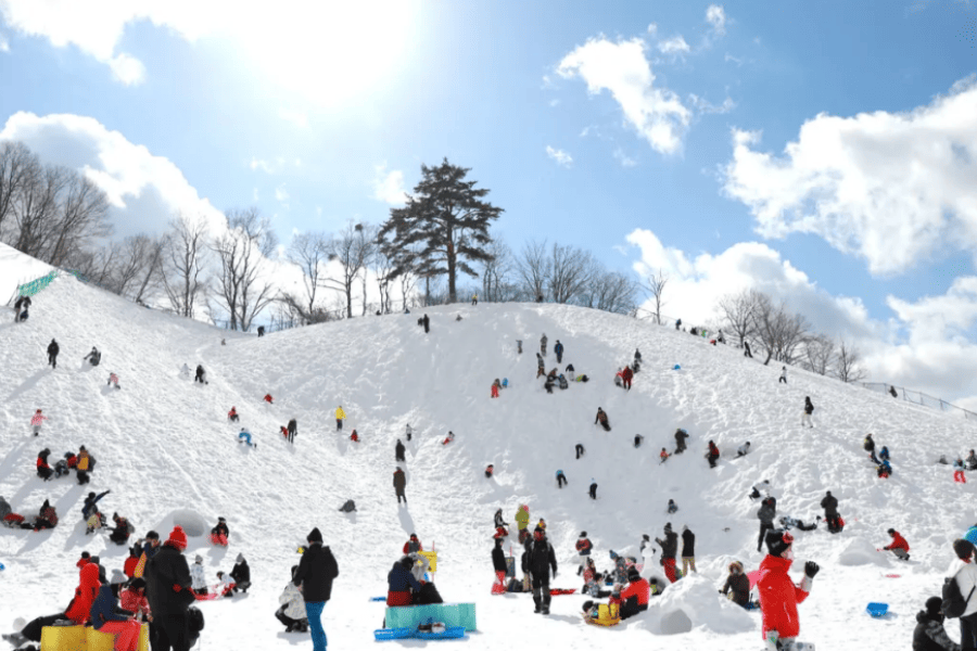 屏幕截图 2025-10-14 133627.png