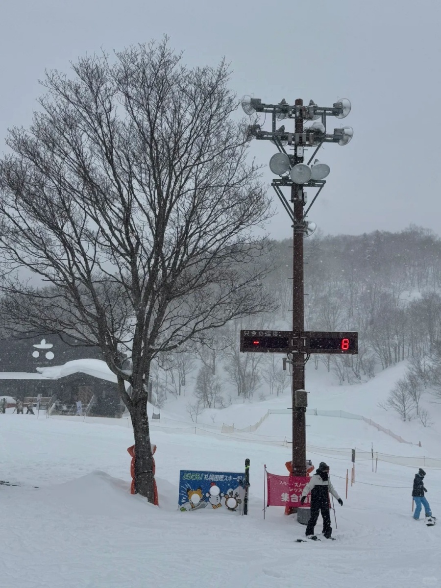 北海道·札幌国际滑雪场初体验（附攻略）_6_柏叶_来自小红书网页版.jpg