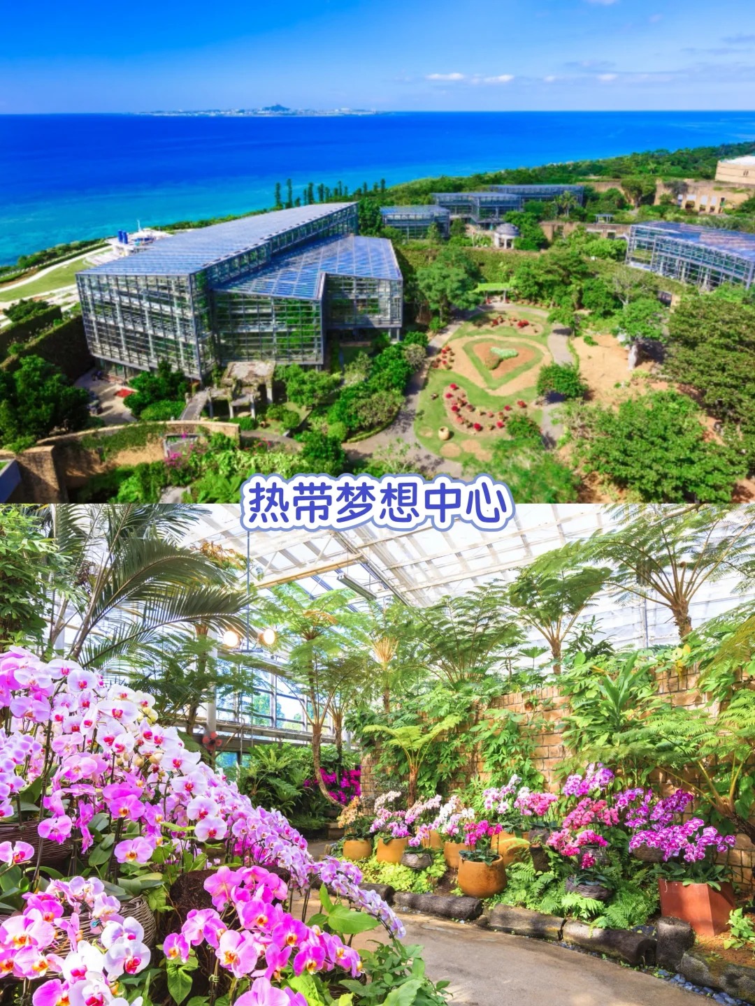 🌧 下雨天也不扫兴，冲绳雨天怎么玩？_3_日本国家旅游局_来自小红书网页版.jpg