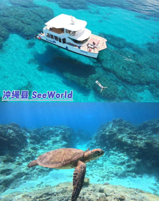 202510161442-2778574374.png image.png