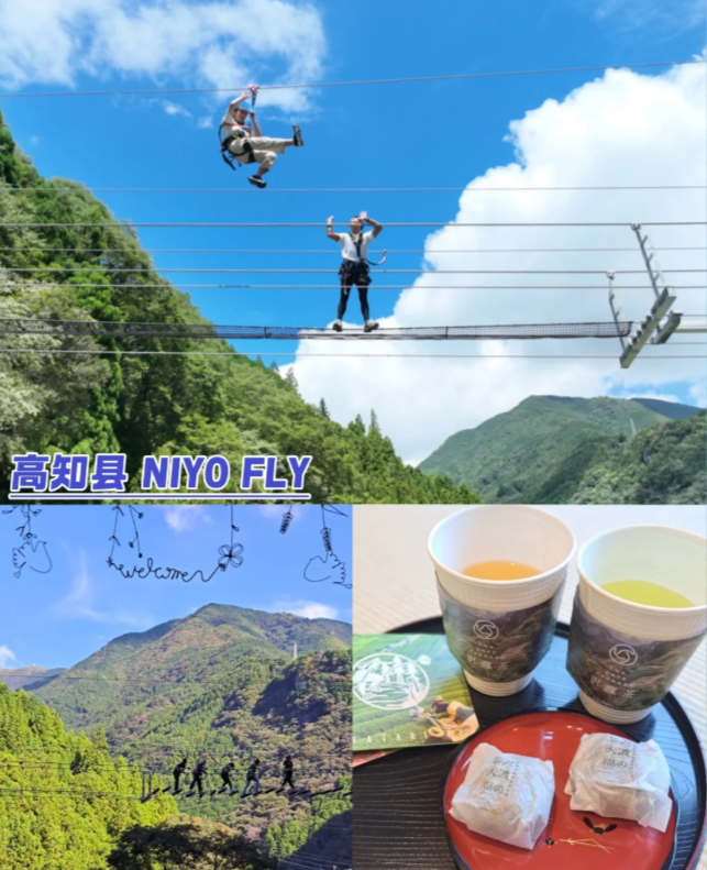 202510161442-7194657150.png image.png