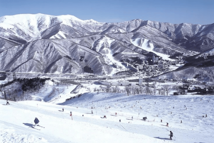 屏幕截图 2025-10-14 132435.png