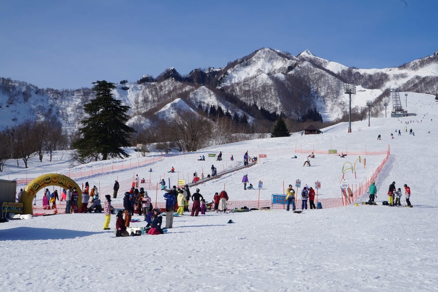 Iwappara-activity-kids.jpg