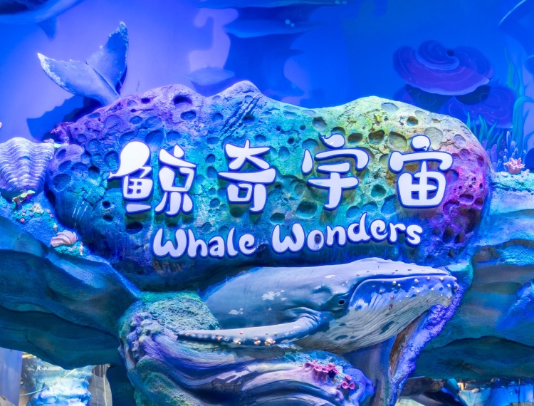 產品圖片