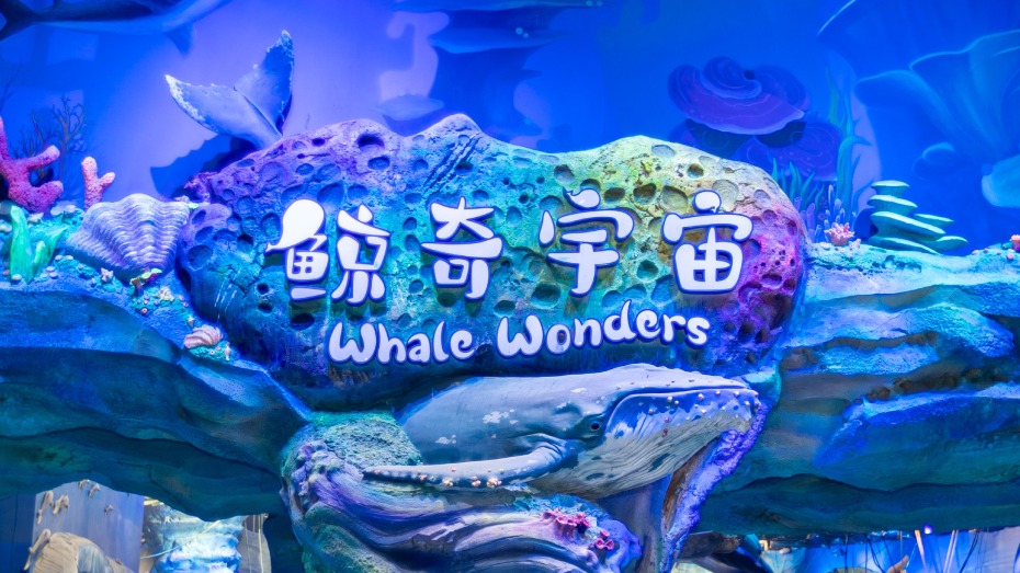 飞船乐园6.jpg
